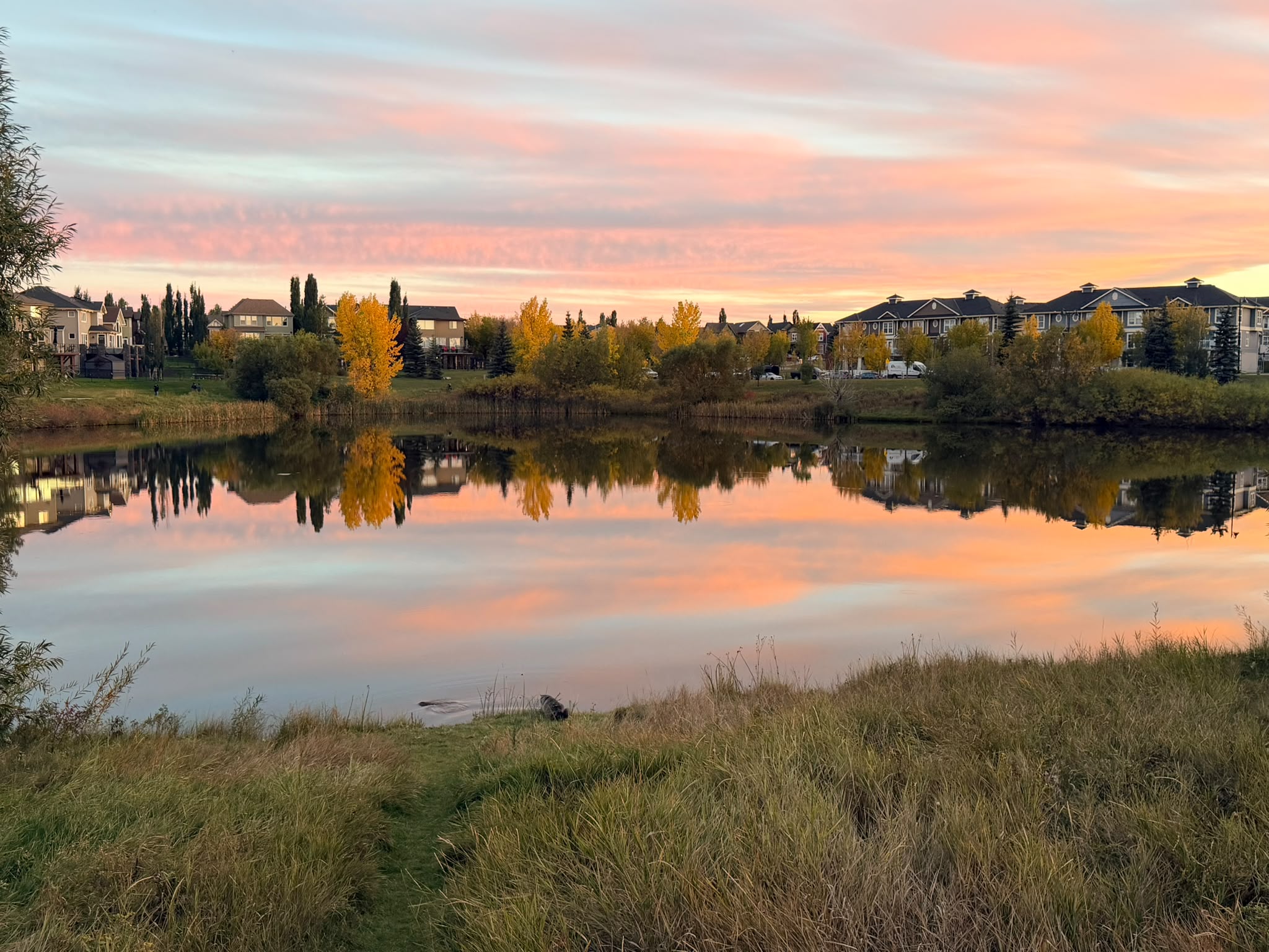Homes and autumn trees reflected in a pond at sunset